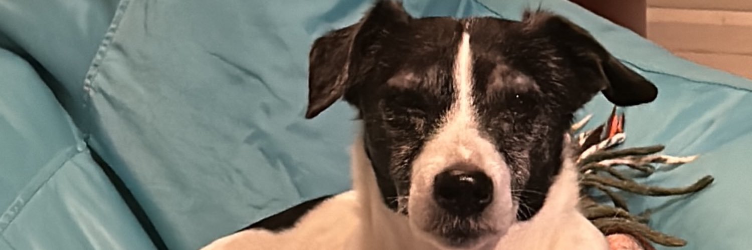 Kevin Watson’s “Love from London!” 🌈 banner