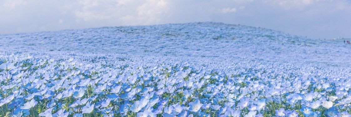 junenutcha's profile banner image