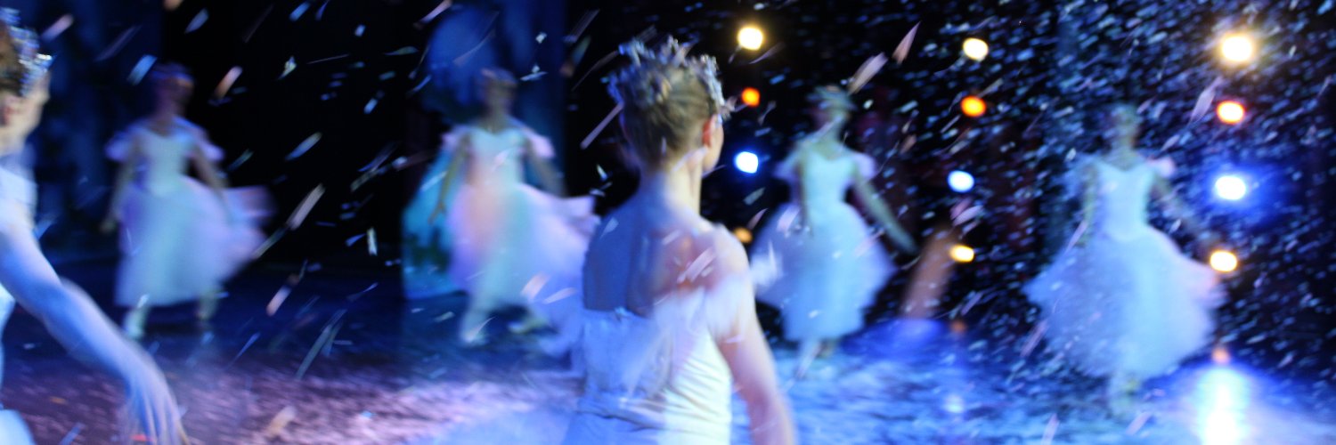 Connecticut Ballet banner