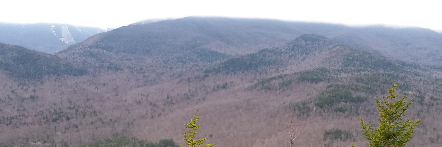 LMaher129's profile banner image