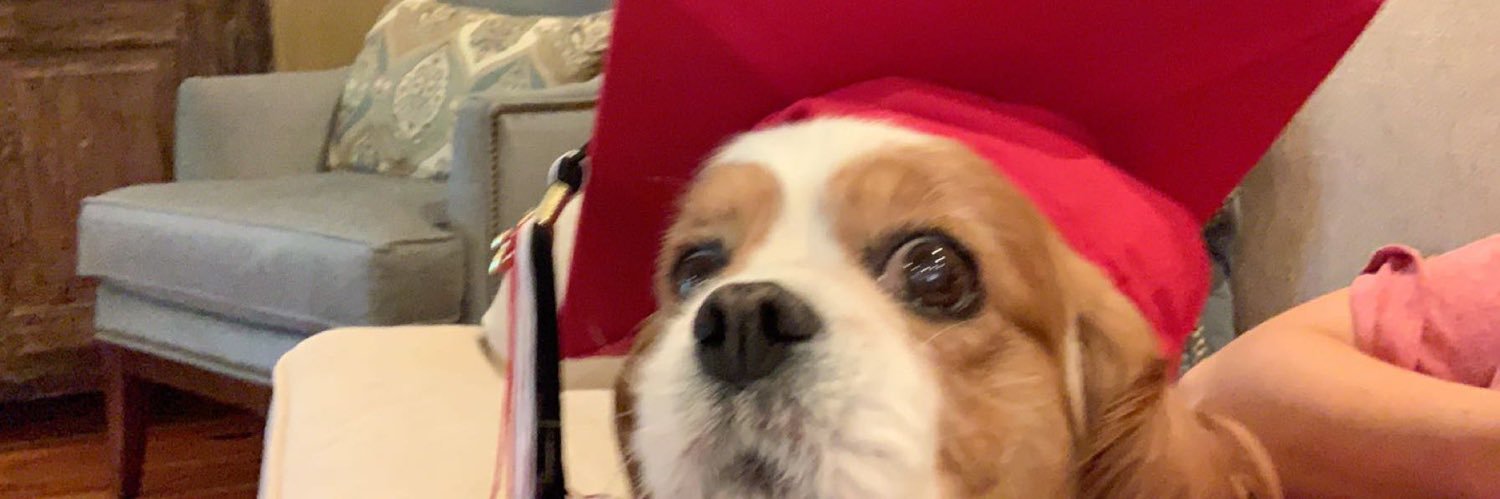 whitdunc11's profile banner image