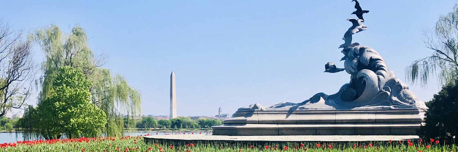SarahHam81's profile banner image