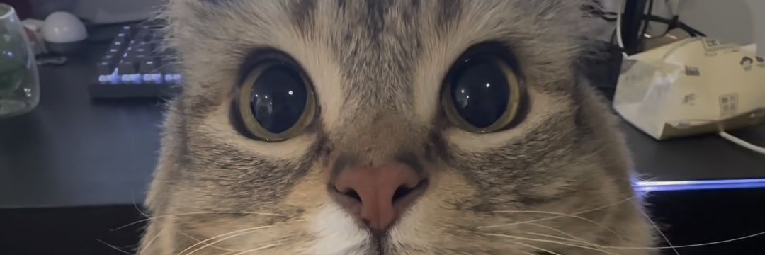 crack enthusiast banner