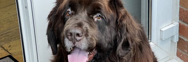 niall__7 Profile Banner