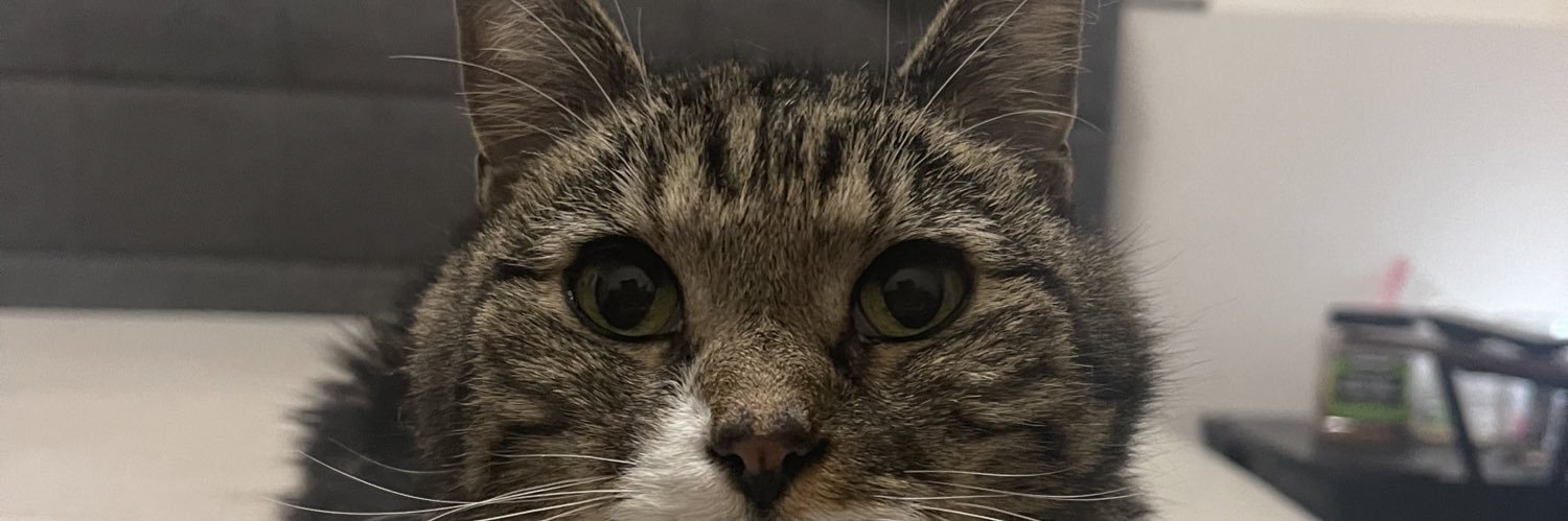 League of Evil EXEs banner