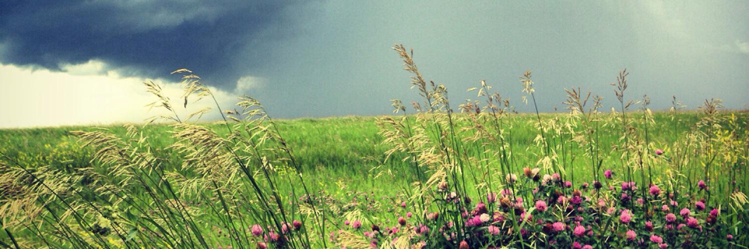mariahzastrow's profile banner image