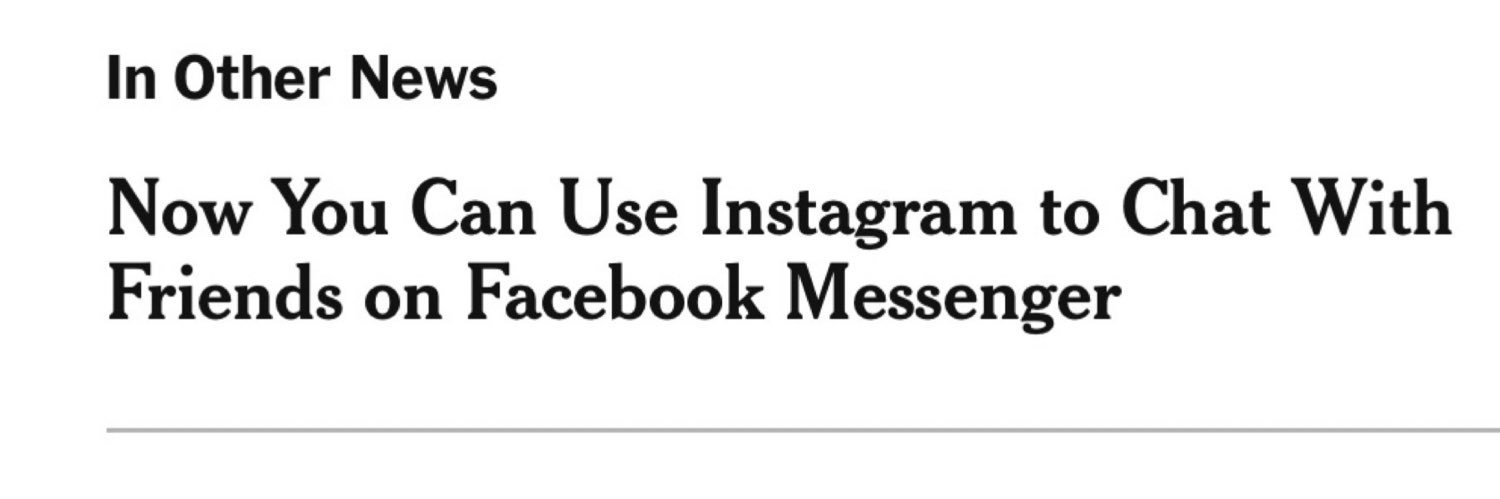 lina misitzis banner