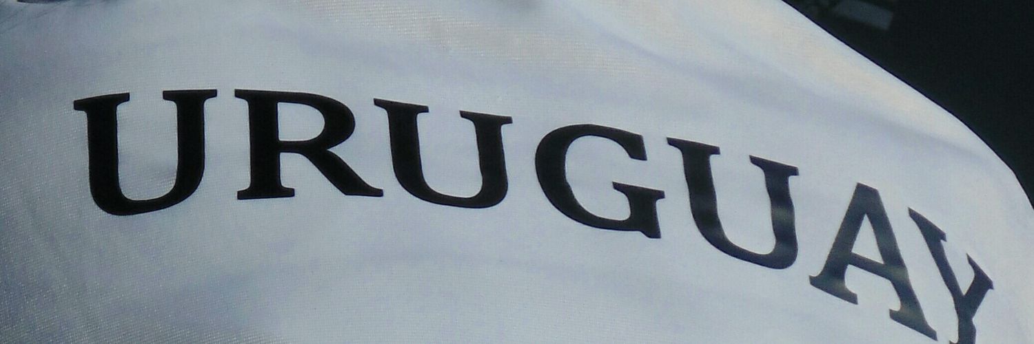 Federico Barreiro  ⑫ banner