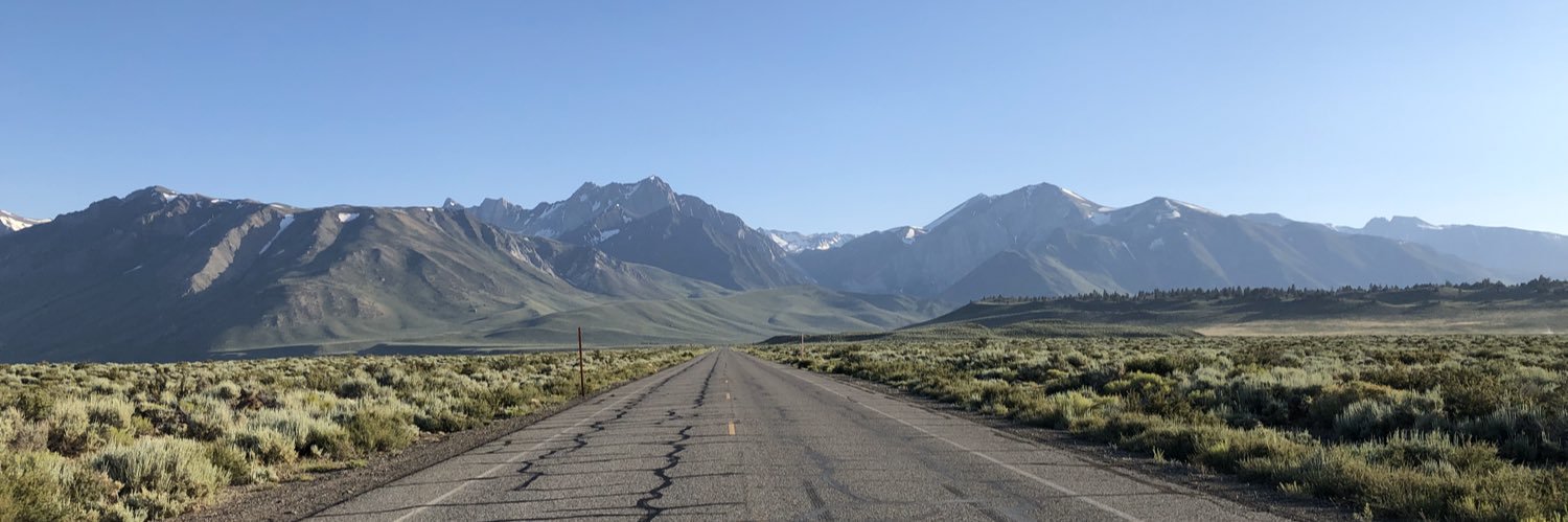 Mandi Miller banner