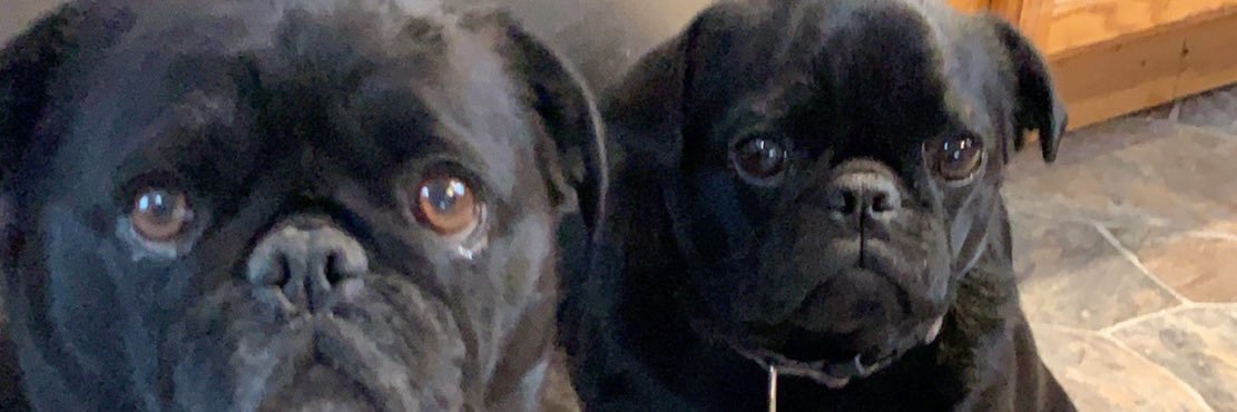 Bkingc4's profile banner image
