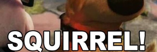 busted_flat's profile banner image