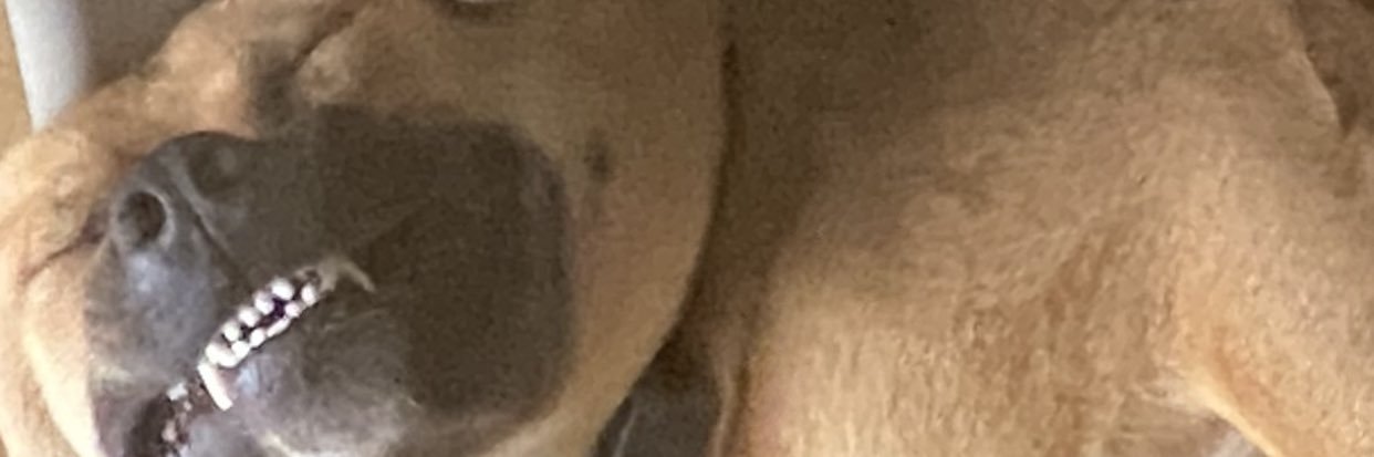 malone16's profile banner image