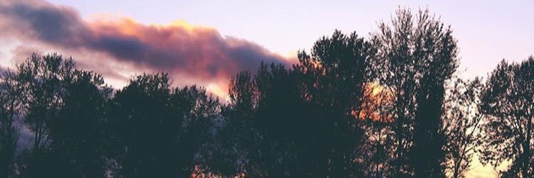 MaddyPearce's profile banner image