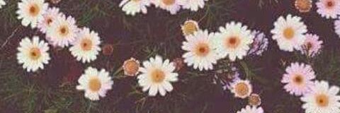_helenlima's profile banner image