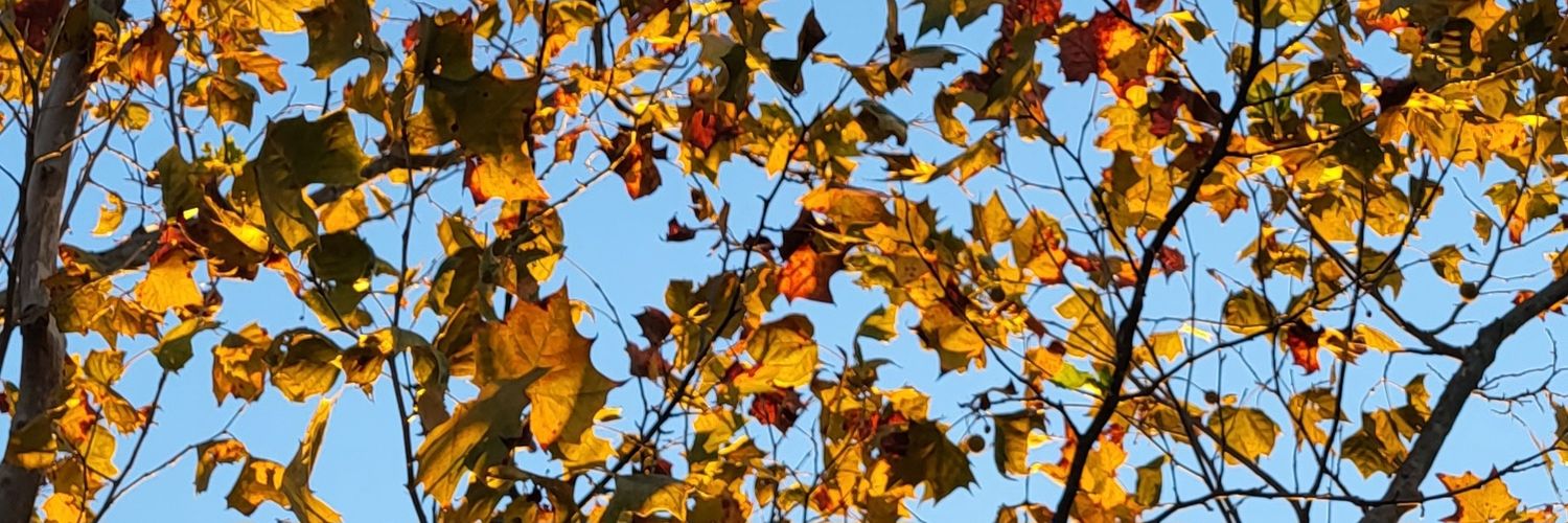 Bill Guy the Science Nye banner