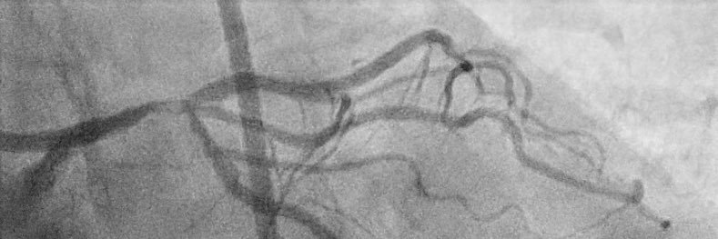 Tobias Koenig banner