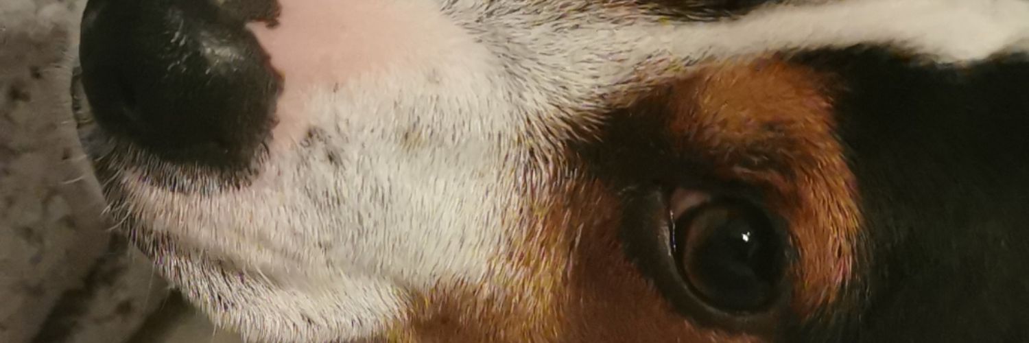 natty_t92's profile banner image