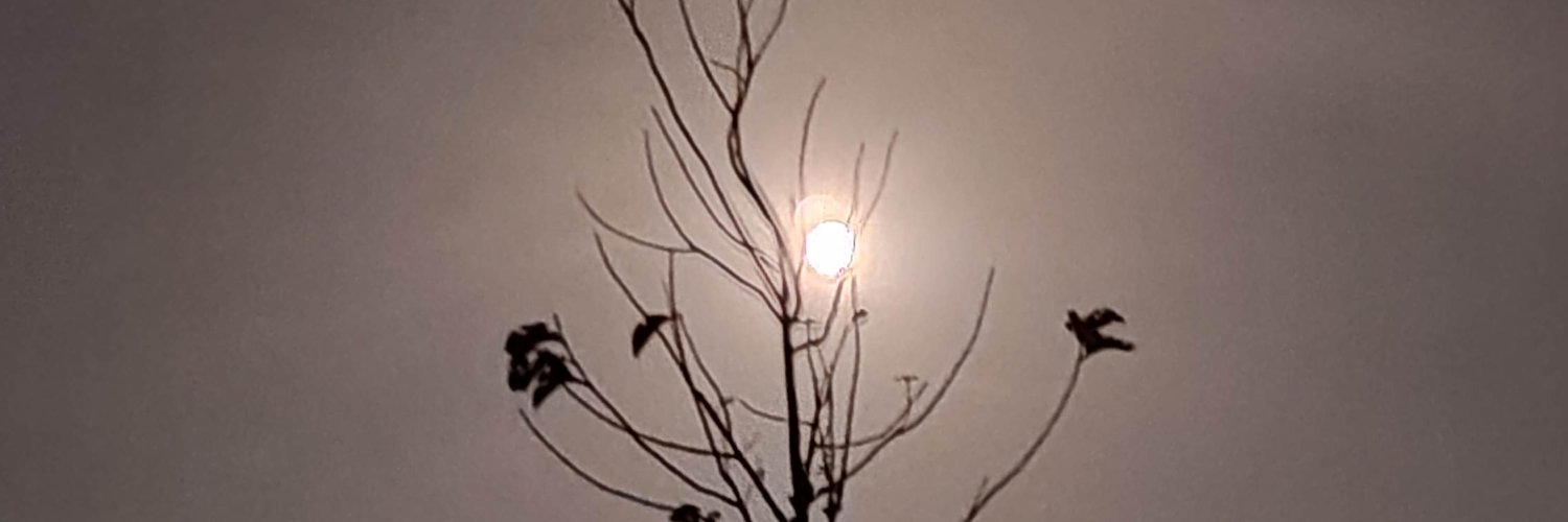 _mostlymoody's profile banner image