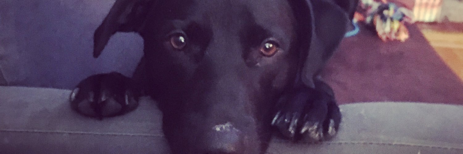 CallahanJesse's profile banner image