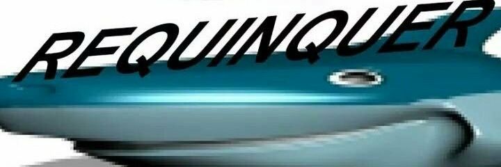 Psilinae's profile banner image