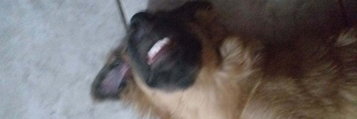 _dnxisx's profile banner image