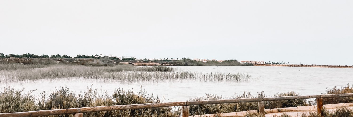 Mynameislaurien's profile banner image