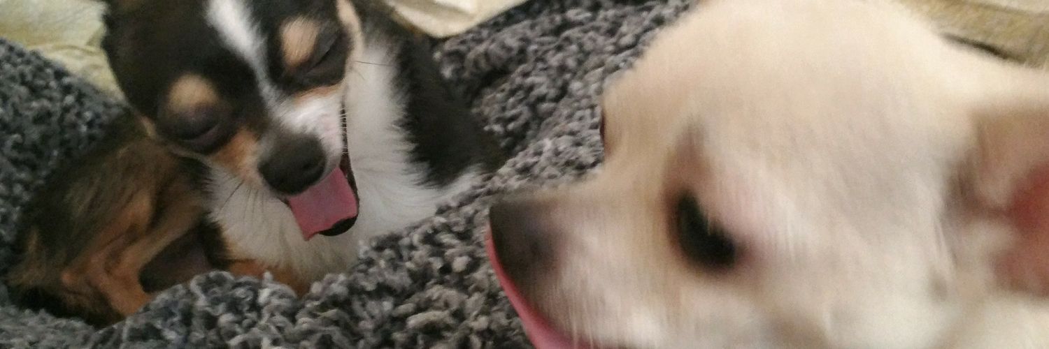 kimmyvan74's profile banner image