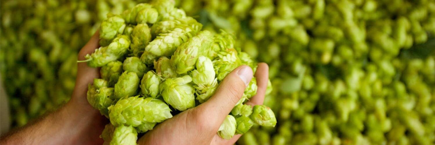 WhiteTrashBrew's profile banner image