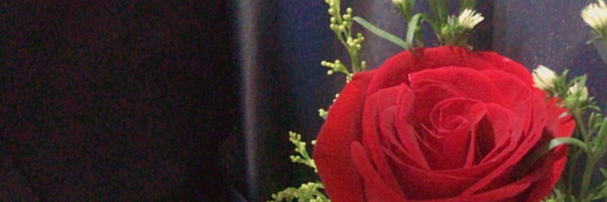 aneeesahhhh's profile banner image