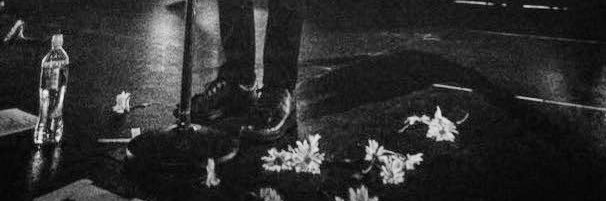 G. banner