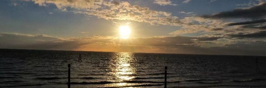HelenDayle817's profile banner image