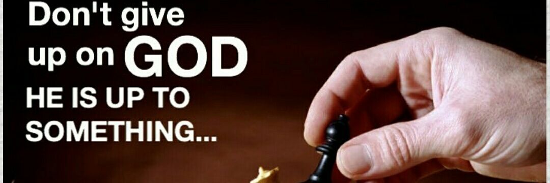 Ufc 303 livestream banner