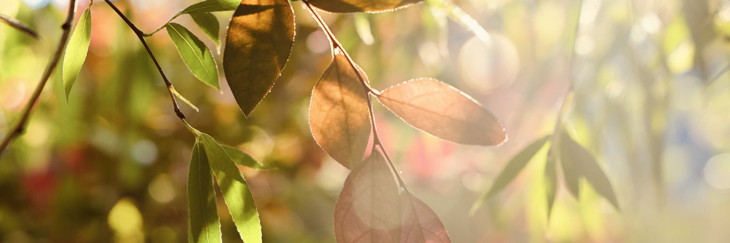 agburd's profile banner image