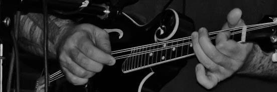 MandolinPaul's profile banner image
