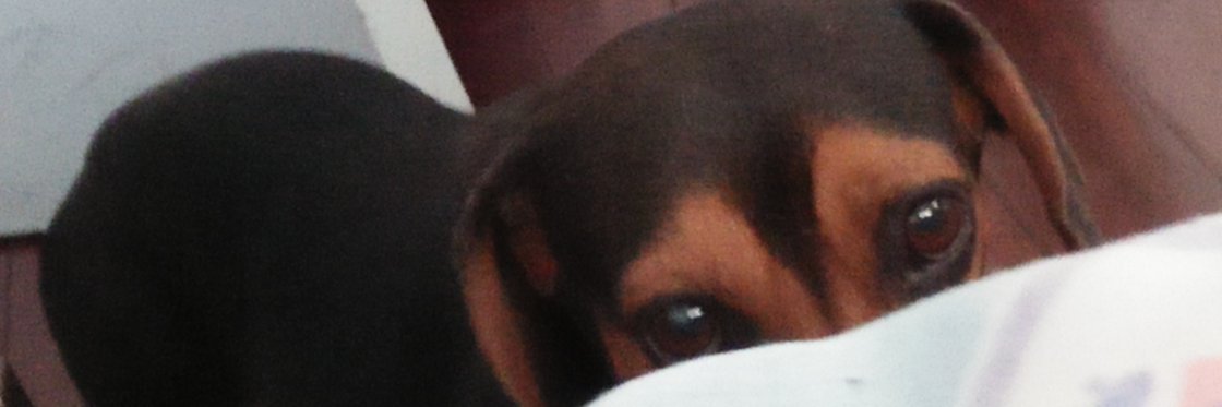 stphenca's profile banner image