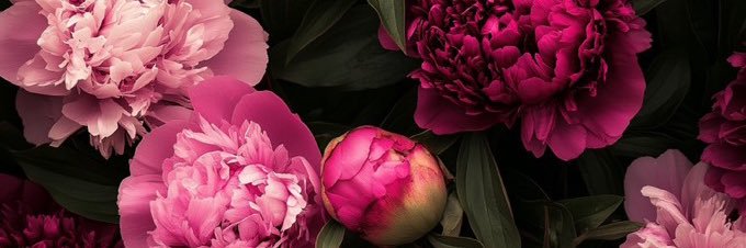 ur_bloomingLa's profile banner image
