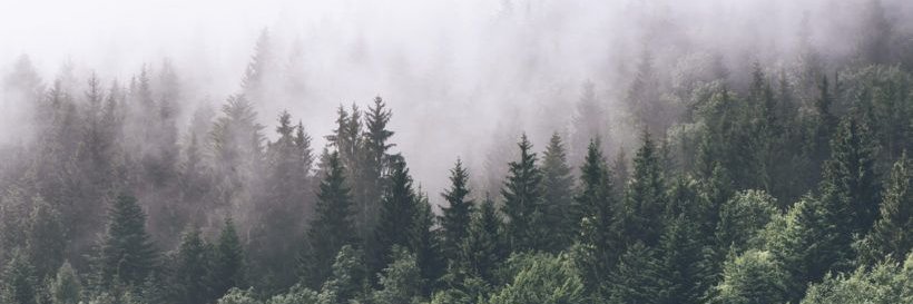 ohaitheregigi's profile banner image