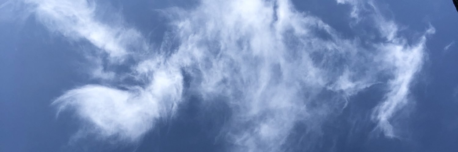 Vanessi3's profile banner image