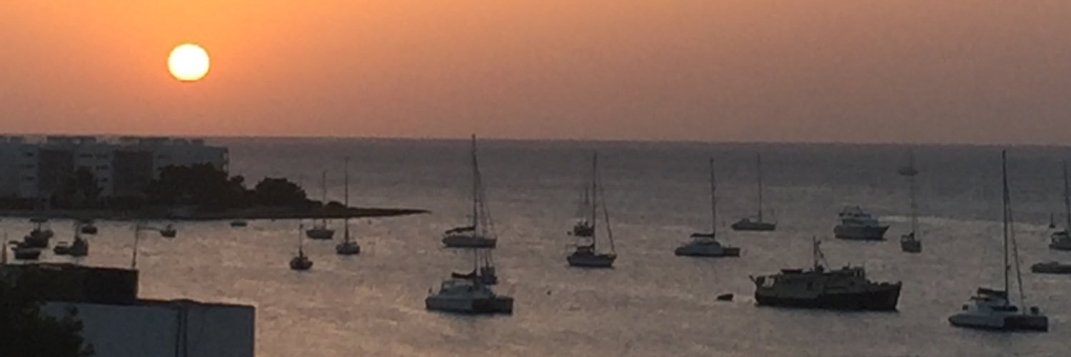 Sharon Stephenson banner