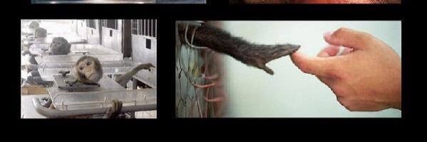 Christine Harle banner