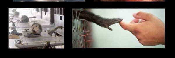 cmharle Profile Banner