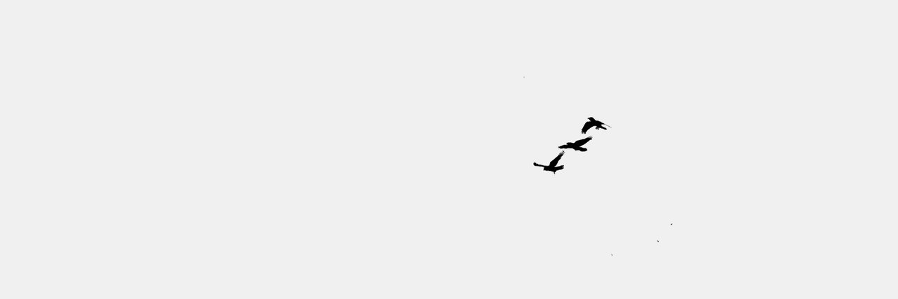 reginaMATG's profile banner image