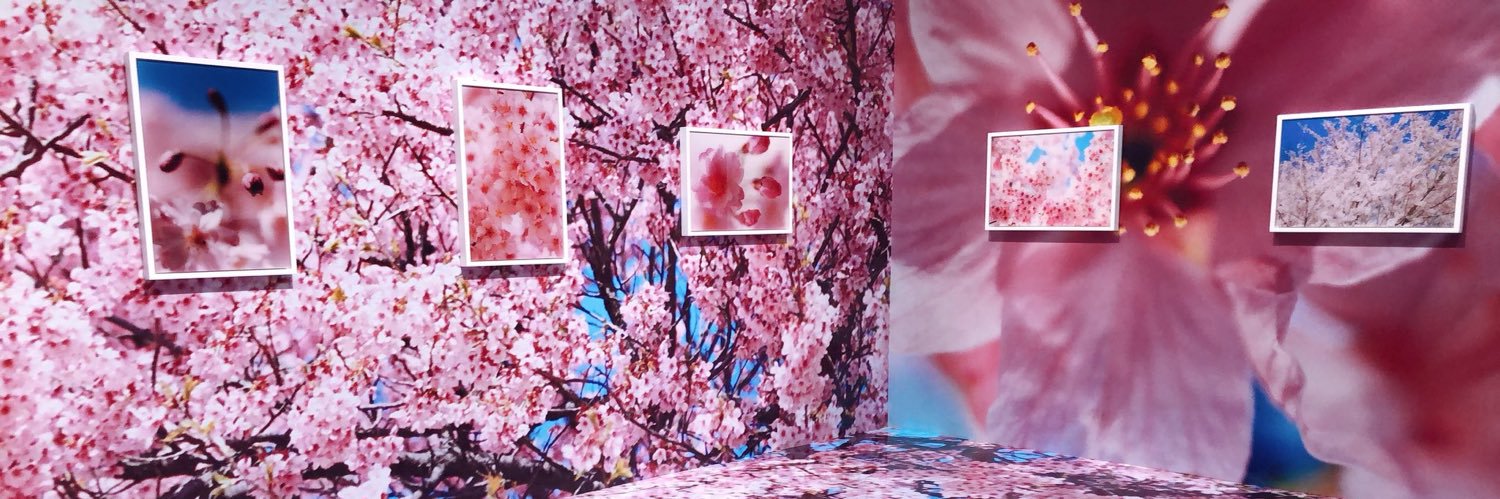 T💐style's banner