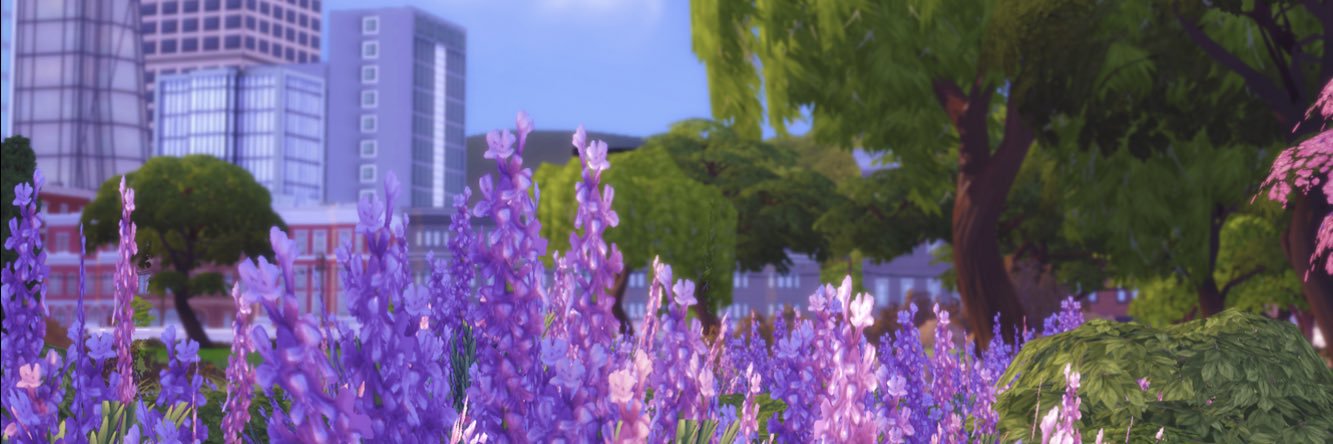 plasmajanes's profile banner image