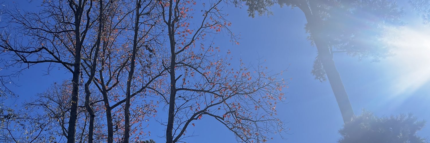 wilnnettelism's profile banner image