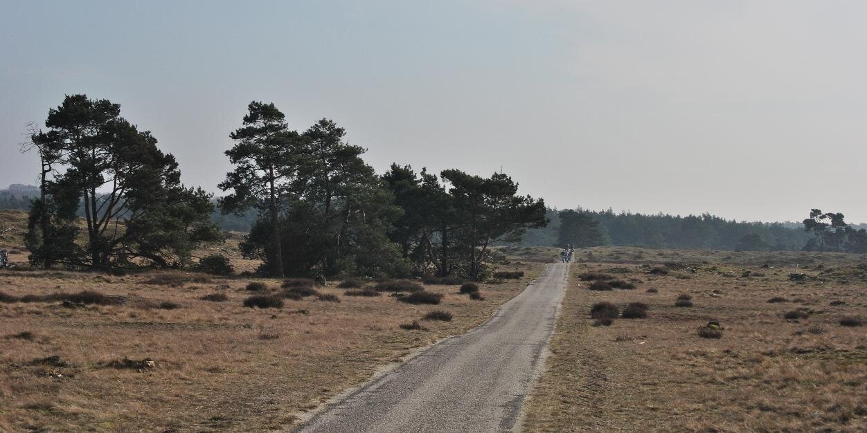 emmelottje's profile banner image