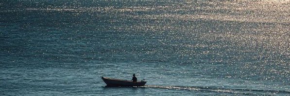 vegavedik's profile banner image