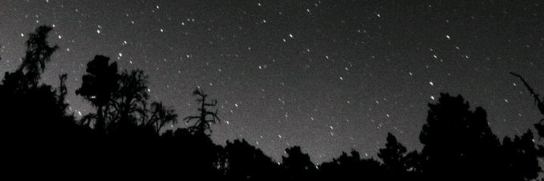 silviobezz's profile banner image