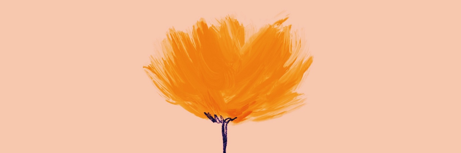 allie! banner