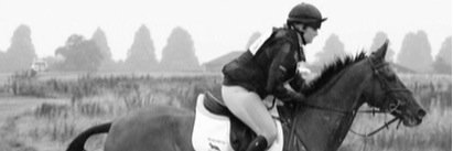 rsteljes's profile banner image